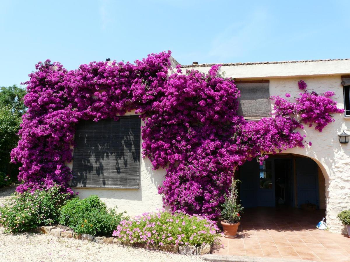 Casa Rural Con Encanto, 4 Hab Con 4 Banos Completos En Suite, Piscina Y Campo Privado Pedreguer Εξωτερικό φωτογραφία
